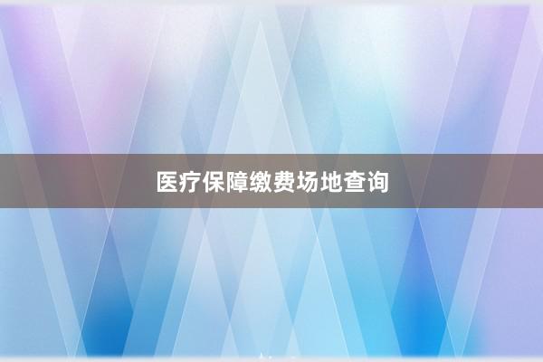 医疗保障缴费场地查询