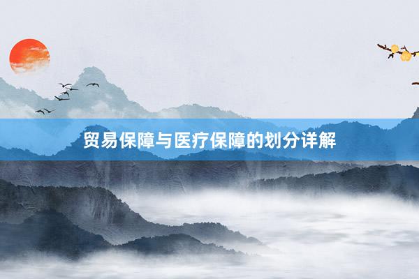 贸易保障与医疗保障的划分详解